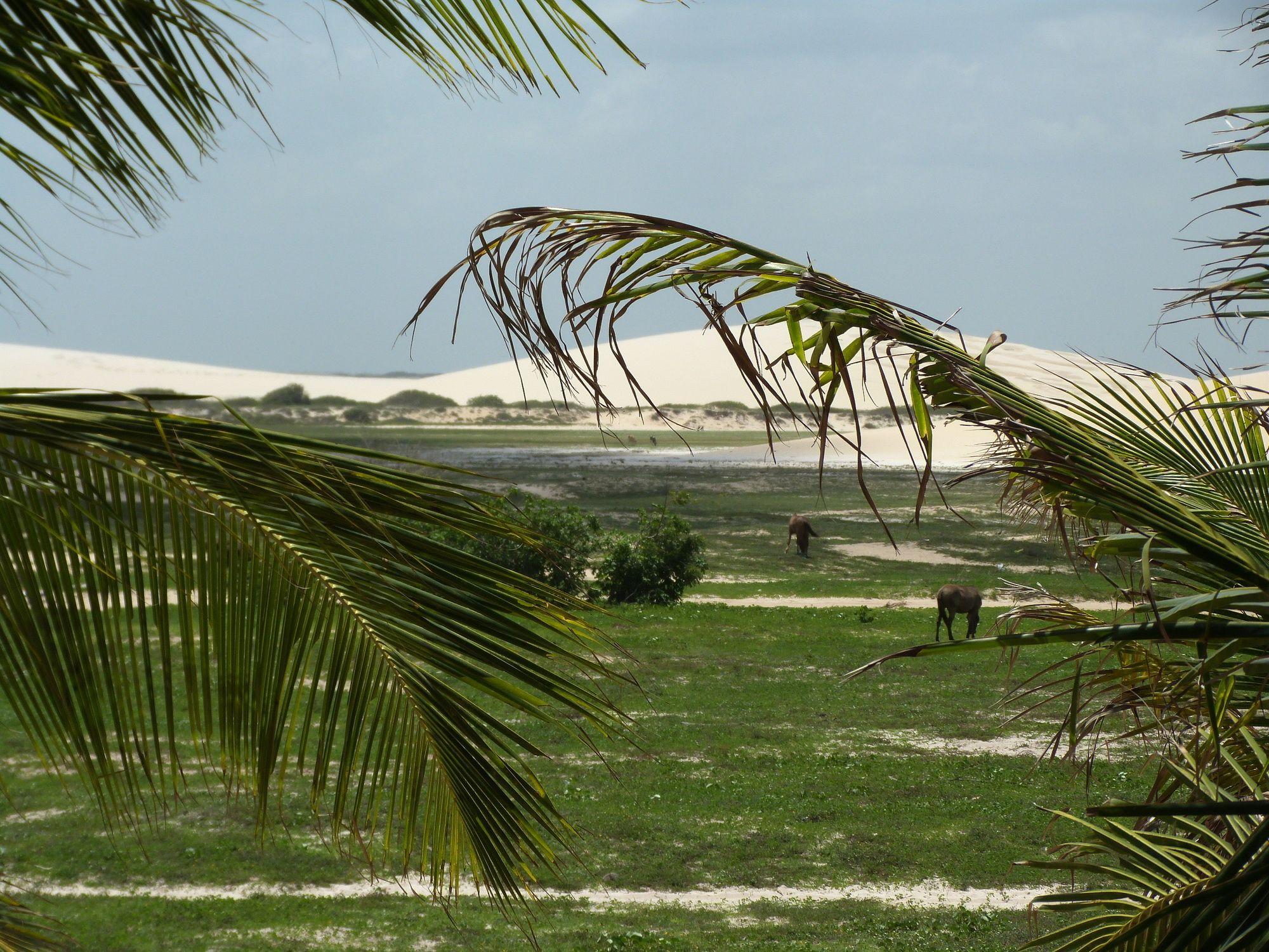 Pousada Mahi Jijoca de Jericoacoara Eksteriør bilde